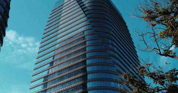 外国语单招大数据的行业文章