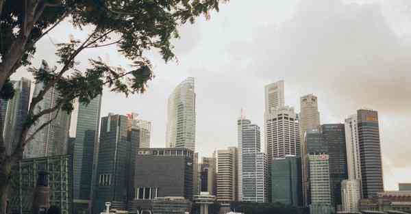 发改委经济大数据