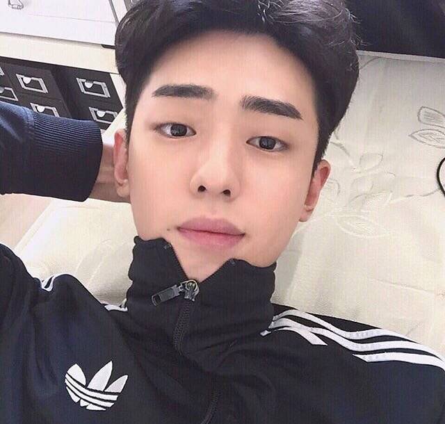 向树雁朋
