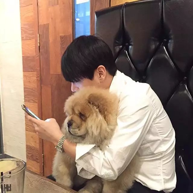 潘晨贵成