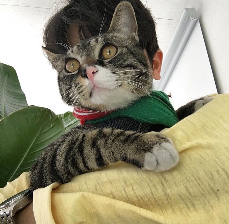 慕容眉毓悦
