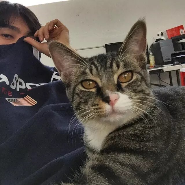 蔡菲剑义