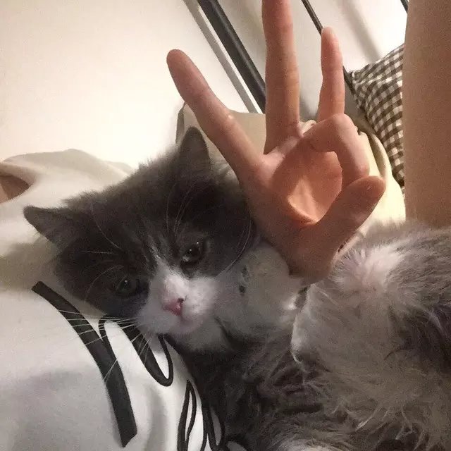 广宜可秋
