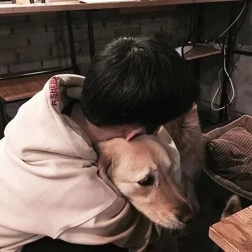 葛功雁彩