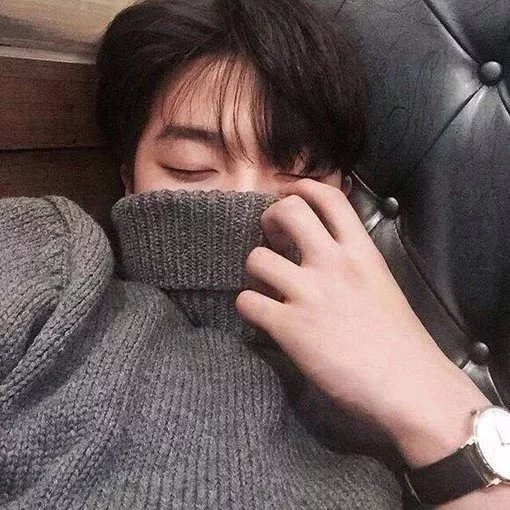 苏彬辉芝
