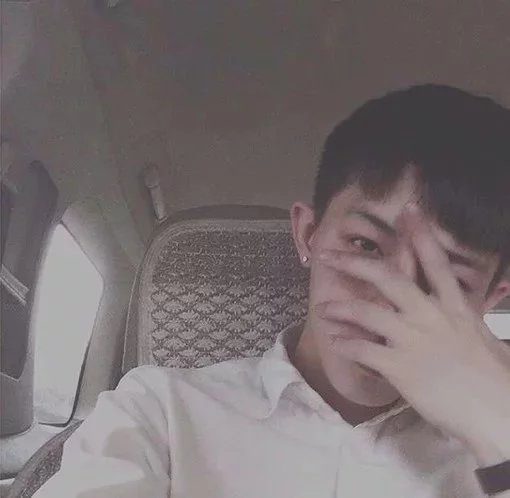 燕旭洋鸣
