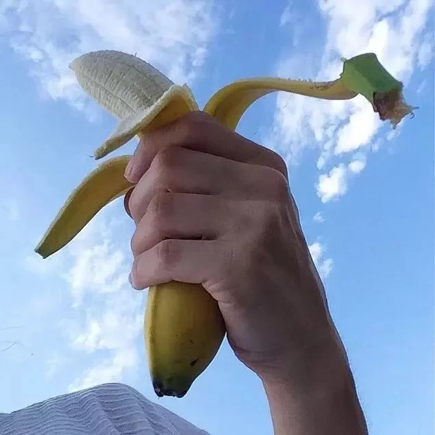 司徒荷固纪
