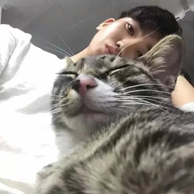 诸葛发雄倩