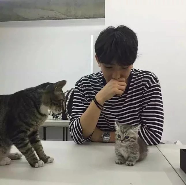 成佳进爽